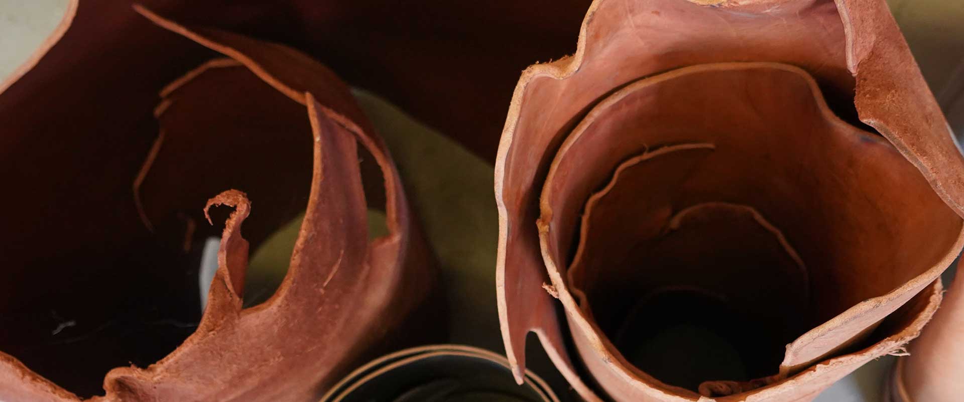 Bovine Belts - Leather Belts Handmade